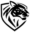 Ilbirs eSports